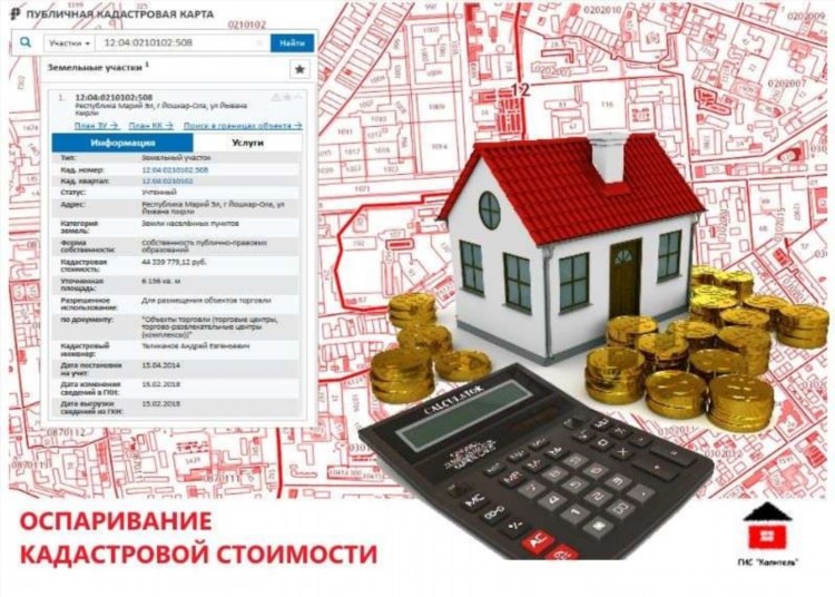 Калининград авито купить квартиру в центральном районе